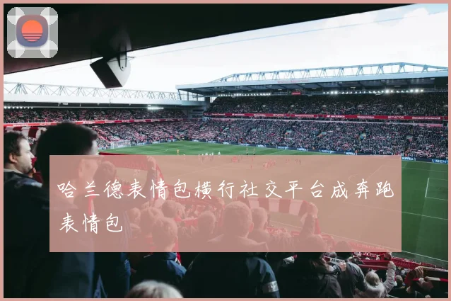 哈兰德表情包横行社交平台成奔跑表情包 - 8868体育官网